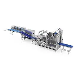 Belt loaders