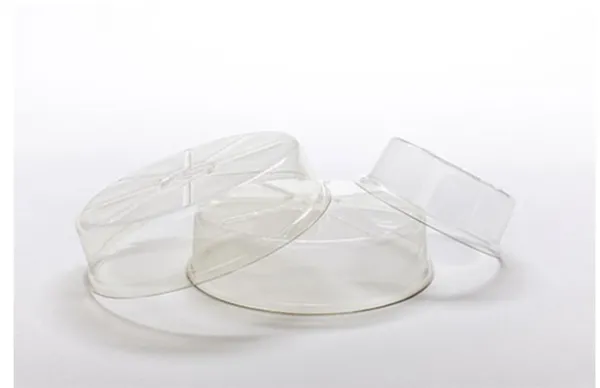 Plant Saucer