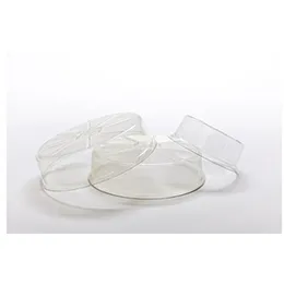 Plant Saucer