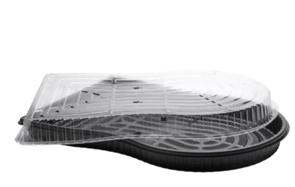 Thermoformed Trays