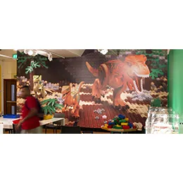 WALL GRAPHICS