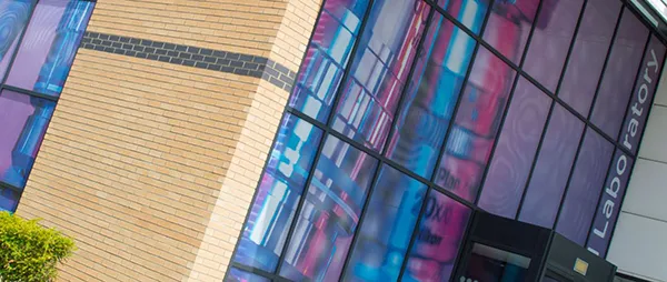 WINDOW GRAPHICS