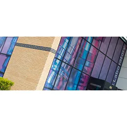 WINDOW GRAPHICS