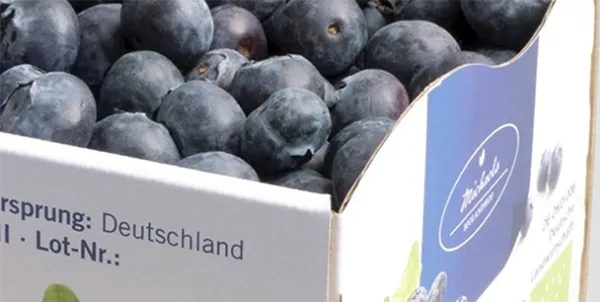 CARDBOARD PACKAGING