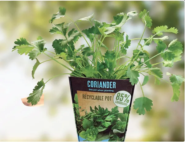 Sustainable packaging solutions