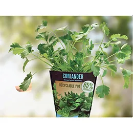 Sustainable packaging solutions