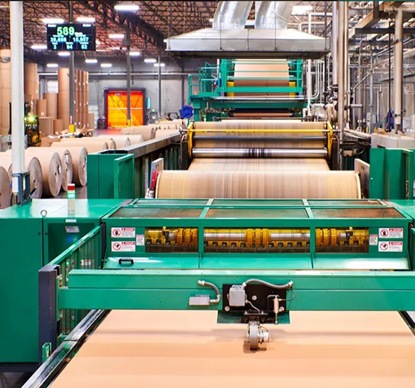 CORRUGATED _ FLEXO