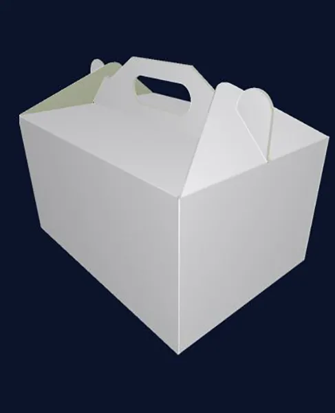 Carrying case