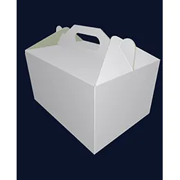Carrying case