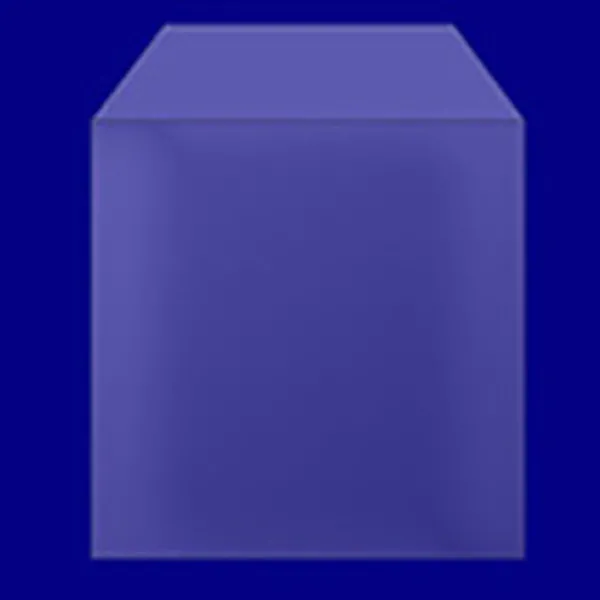 100 MICRON PP CD SLEEVE WITH FLAP