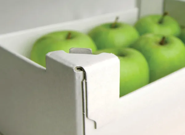 Case & Carton Sealing Adhesives