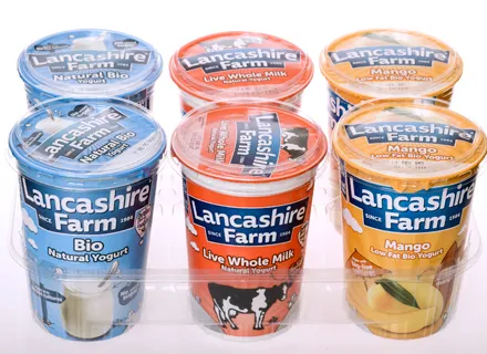 DAIRY