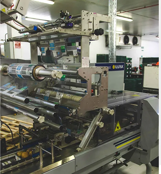 Flexible Films