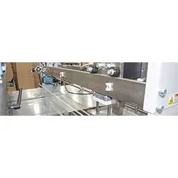 Polymer Film & Bag CleanCut™ Poly Bags