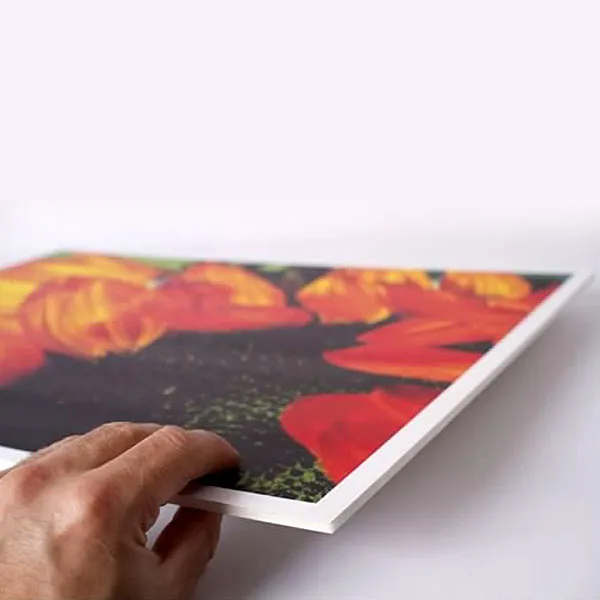 Graphic Display