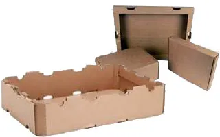 Processed Food Packaging