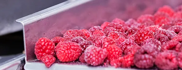 Food Packaging