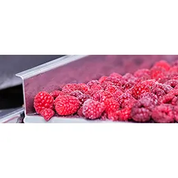 Food Packaging
