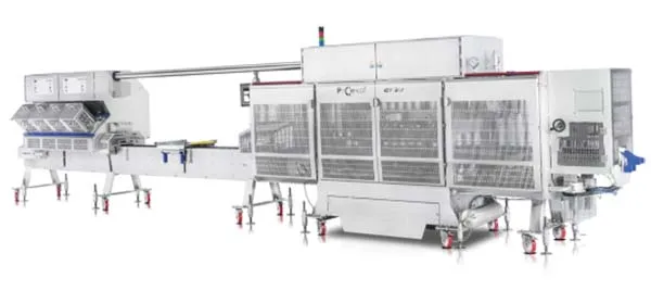 SANDWICH PACKAGING GTSV
