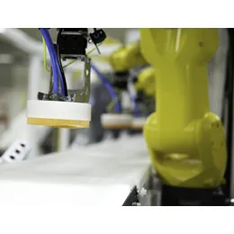 QP200 Case Packer
