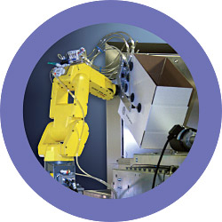 Quest Pro Pick Pack Automated Packaging Systems