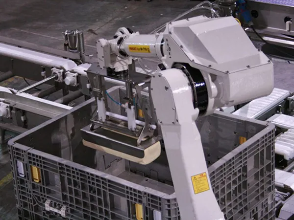Robotic Tote Loading