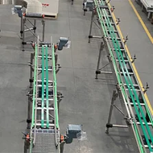 Box & Pack Conveyor