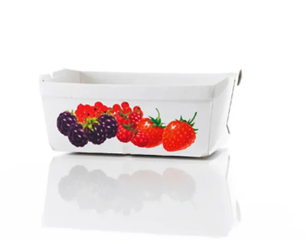 Cardboard trays
