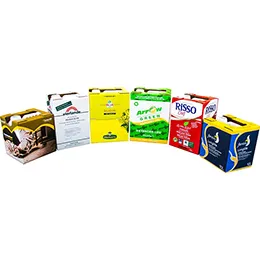 Bottle-in-Box Sustainable Packaging