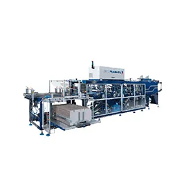 Case Packer Machine