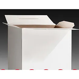 CARTONS