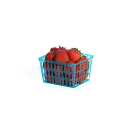 1 PINT MESH BASKET