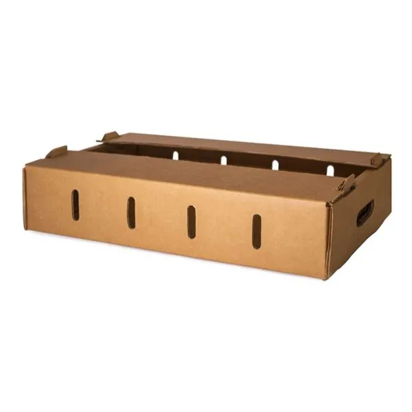 PLAIN KRAFT SINGLE LAYER TOMATO BOX