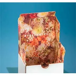 Litho printed packaging