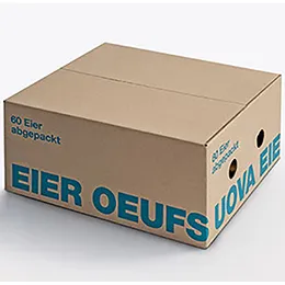 TRANSPORT AND PROTECTIVE PACKAGING