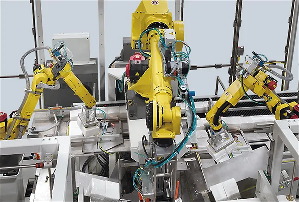ROBOTIC CASE PACKER