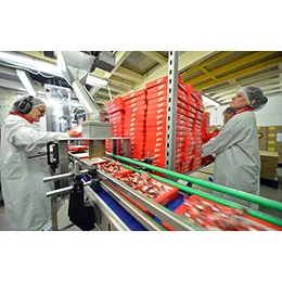 Containers & tubs filling (multi-head weighing)