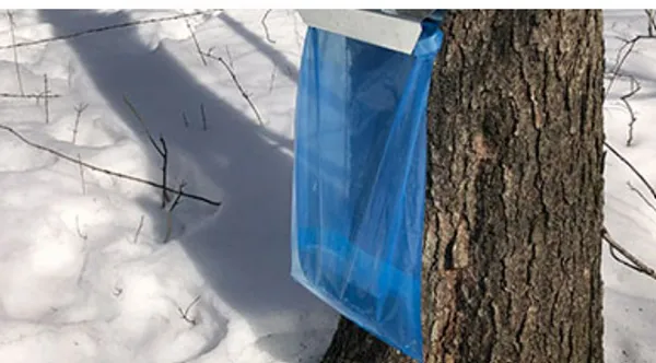 Special Use Bags