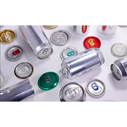 Beverage Can Coatings