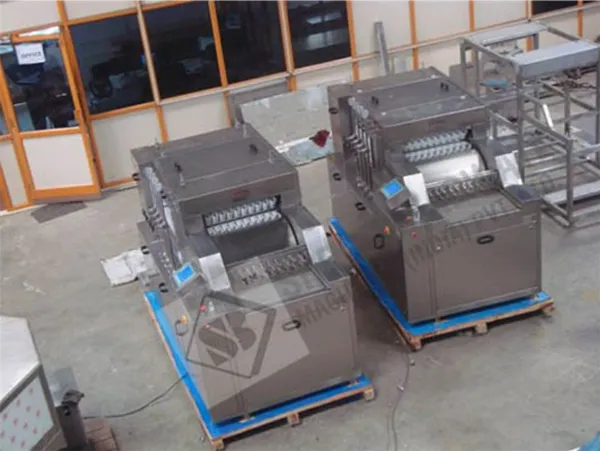 Automatic Linear Vial Washing Machine
