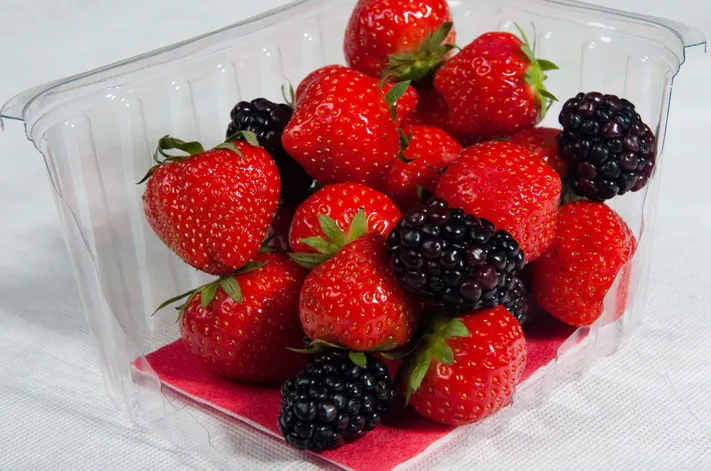 Compostable absorbent fruit pads