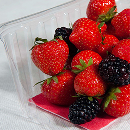 Compostable absorbent fruit pads