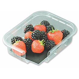 Compostable absorbent pads for fruit