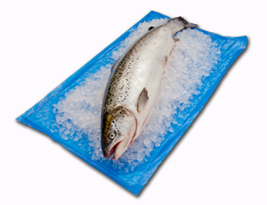 Sea fresh absorbent liners