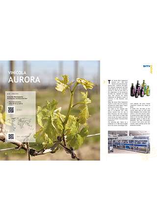 Aurora Wine Cooperative - Brazil