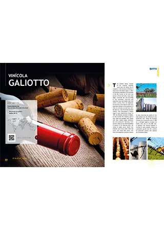 Vinícola Galiotto - Brazil