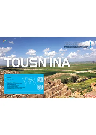 Sminow20-tousnina-en