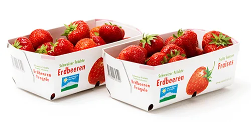 Fruit Punnets
