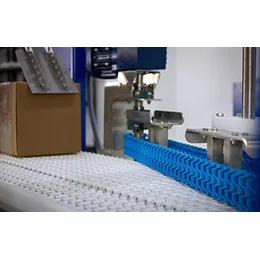 POWERED DIVERT CONVEYOR