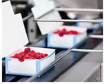 FOOD PACKAGING
